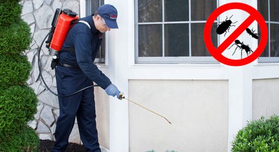 Armutlu Akrep İlaçlama böcek ilaçlama ve haşere kontrolü — ilaclama-tr.com